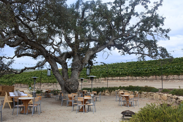 Top 10 Paso Robles Wineries to visit. The JetSetting Fashionista