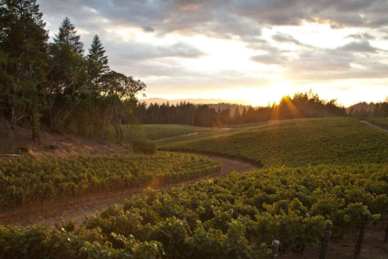 The Top 10 Wineries in St. Helena California The JetSetting Fashionista