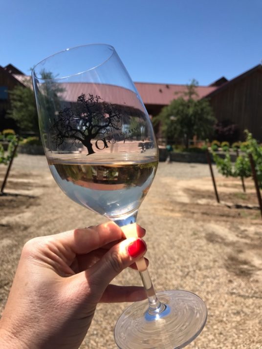Lodi Wineries That You Must Experience The JetSetting Fashionista