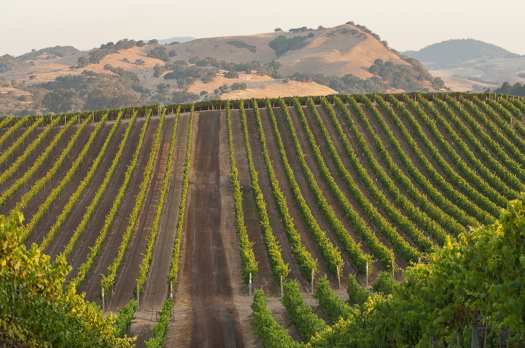 California Winery Regions