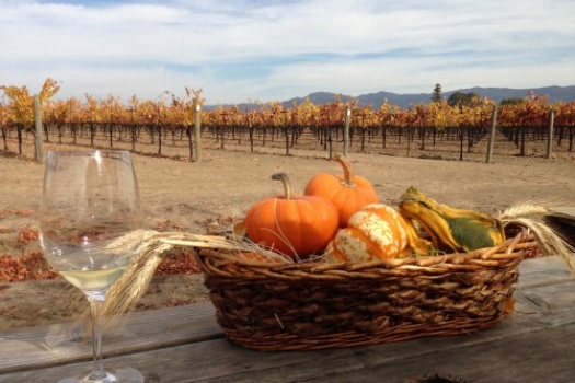 Napa’s O’Brien Estate With Fabulous Wine & Stunning Views