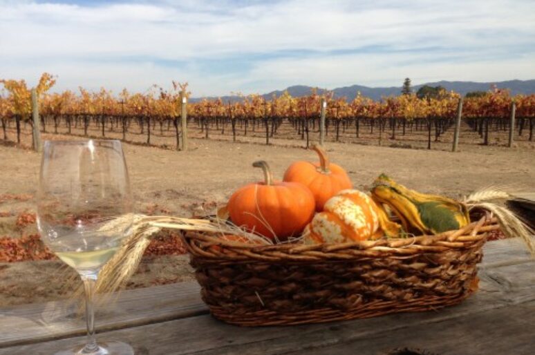 Napa’s O’Brien Estate With Fabulous Wine & Stunning Views