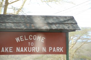 Kenya Africa Lake Nakuru Safari