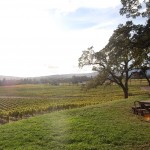Scribe Winery With Cool Wines And An Even Cooler Vibe