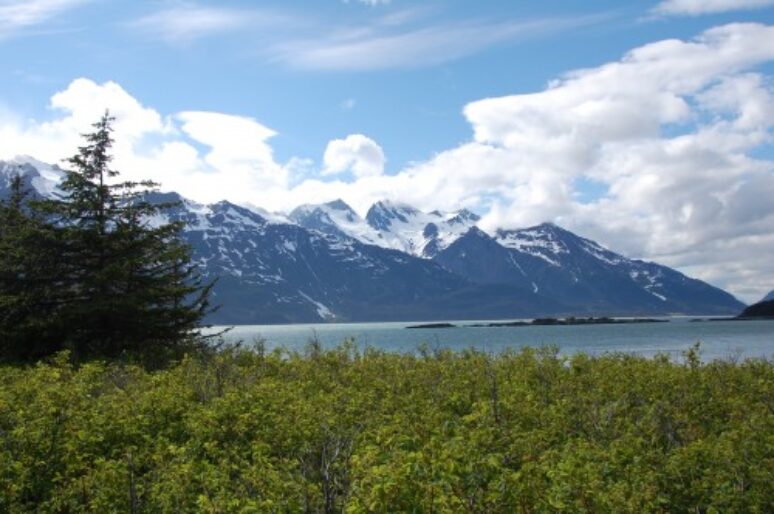Alaskan Hikes With Gorgeous Views In Chilkat State Park