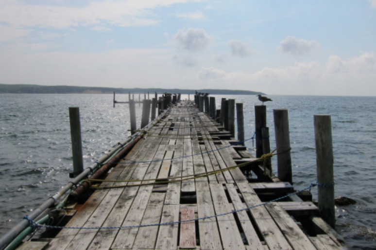 Duryea’s Lobster In Montauk (Hampton’s) New York