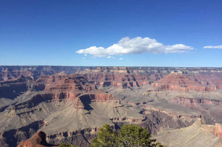 Bicycling The Grand Canyon