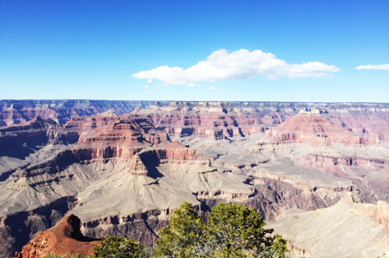 Route 66 California To The Grand Canyon