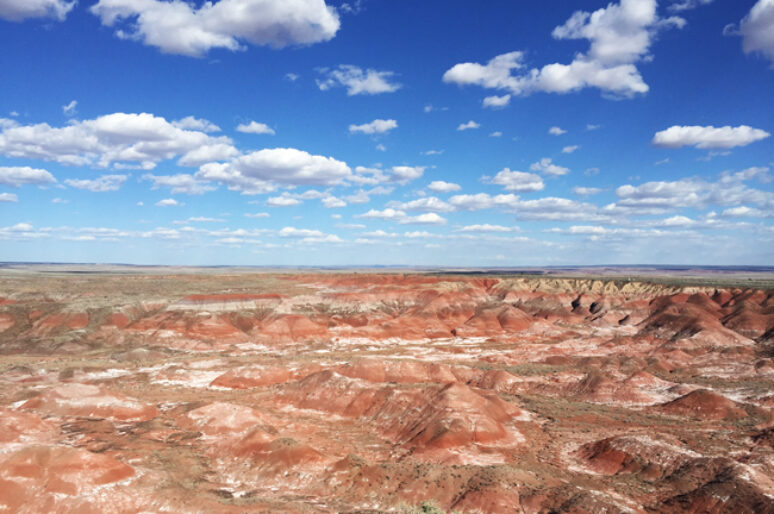 Petrified Forest & Painted Desert In Northeastern Arizona