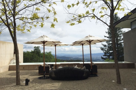 Napa Valley’s Incredible Cade Winery