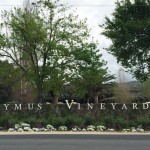 Caymus Vineyards With Spectacular Wines & Stunning Napa Valley Views