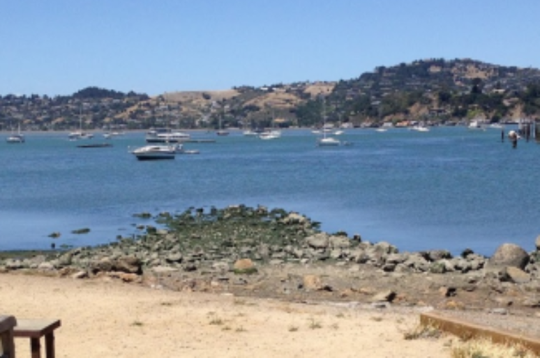 Bar Bocce Sausalito With The Best Pizza & Views In Town