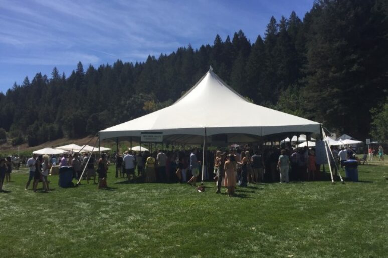 Sonoma Wine Country Weekend 2015 Top 10 Highlights