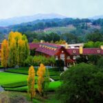 The Top 10 Sonoma Wineries To Experience