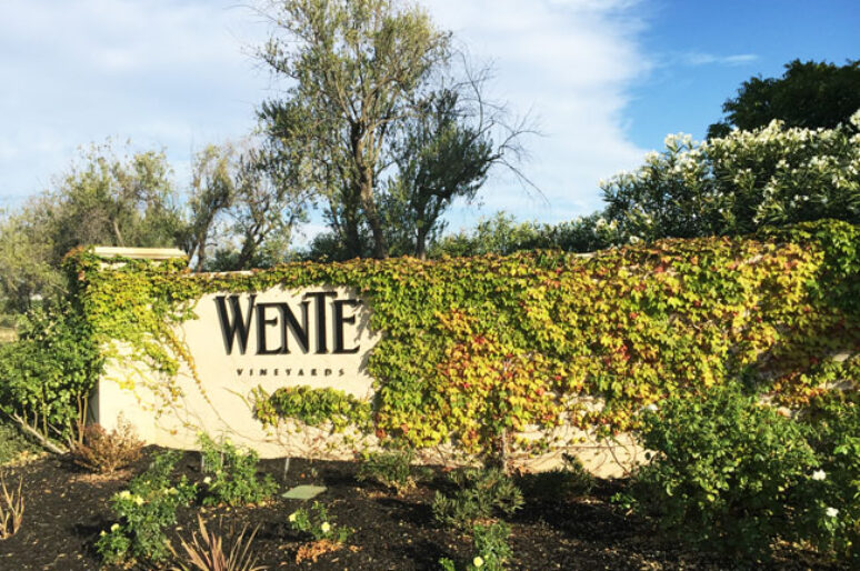 Enjoying Wente Vineyard Concert Series Delicious Wine & Colbie Calat