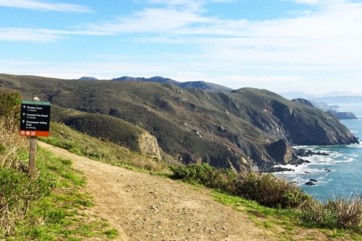 Top 10 San Francisco & Marin Hikes & Day Trips