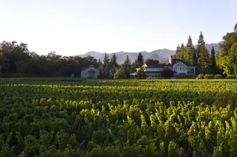 The Best Napa Valley Wineries Including Fabulous Duckhorn Vineyards