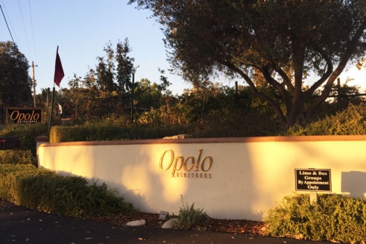 Opolo Vineyards A Paso Robles Winery’s Killer Harvest Party