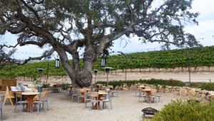 Cass Winery Paso Robles