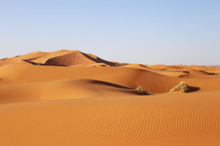 A Camel Trek In Morocco Through the Sahara Desert