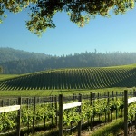 Goldeneye Winery an Anderson Valley Gem To Visit