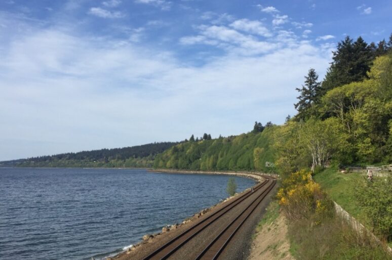 Carkeek Park Seattle With Stunning Puget Sound Views