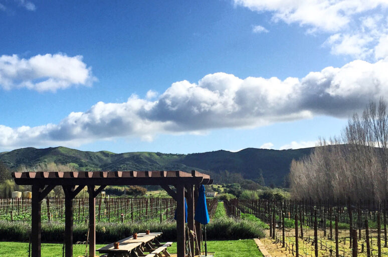 Melville Winery a Sta. Rita Hills Winery That I Adore