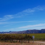 Top 10 Santa Maria Valley Wineries in Santa Barbara County