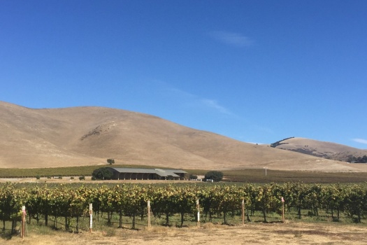 Winery Tour with Byron Winemaker Jonathan Nagy