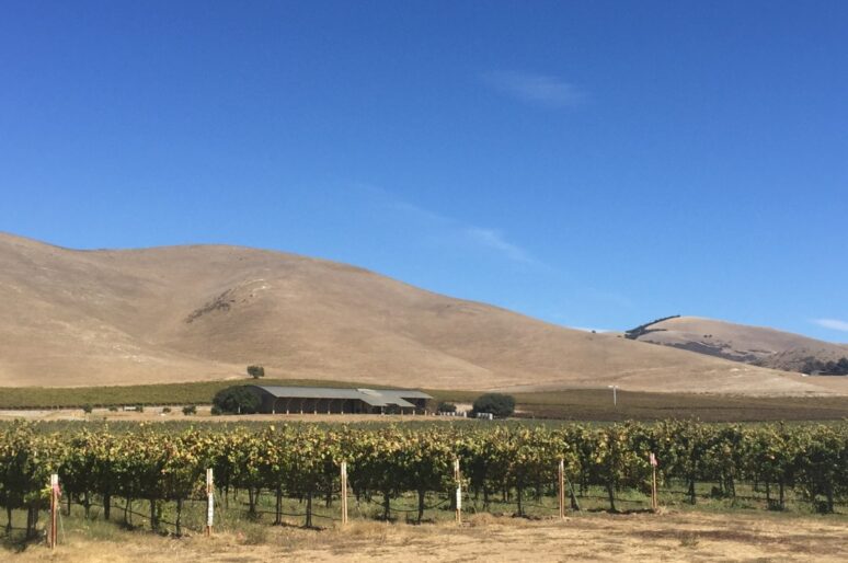 Winery Tour with Byron Winemaker Jonathan Nagy