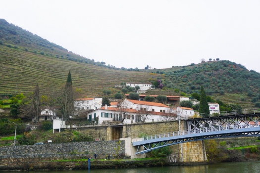 Douro A Magnificent Wine Region in Portugal You Must Experience
