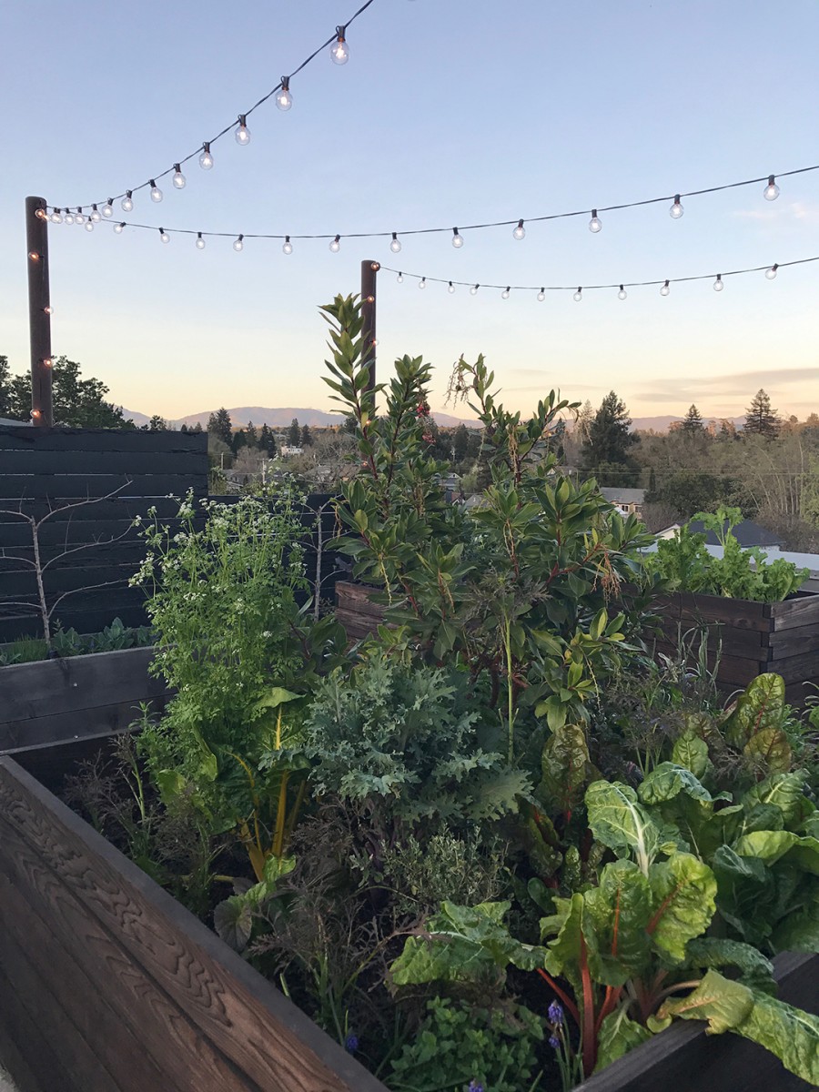 SingleThread Farm Restaurant & Inn in Healdsburg California The