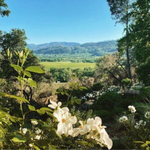 Wineries with The Most Beautiful Gardens