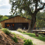 The Best Kid-Friendly Paso Robles Wineries