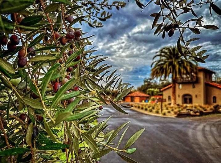 Hidden Gems Winery Tour