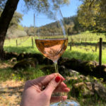 The Spectacular Alejandro Bulgheroni Winery, Napa Valley