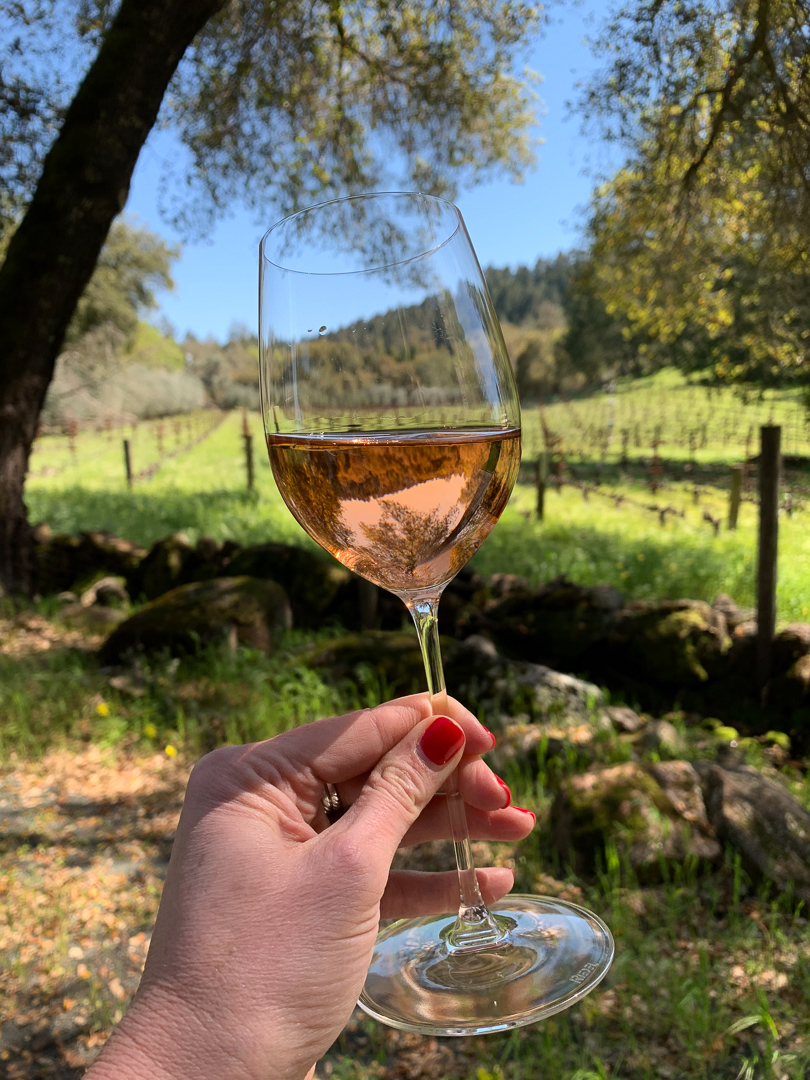 Alejandro Bulgheroni Winery, Napa Valley & Their Beautiful Wines