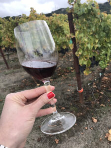 Sonoma Syrah Wines