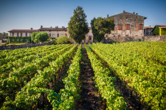 Franciacorta Italy’s Wineries & My Media Trip