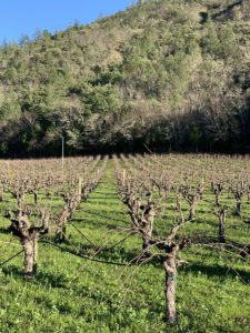 Calistoga Wine Country’s Must See Wineries | The JetSetting Fashionista