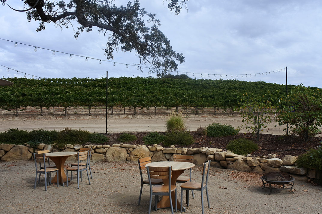 The JetSetting Fashionista Cass Winery Paso Robles