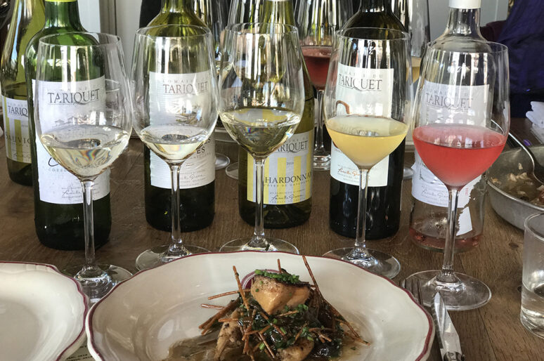 Domaine du Tariquet’s Winemaker Lunch