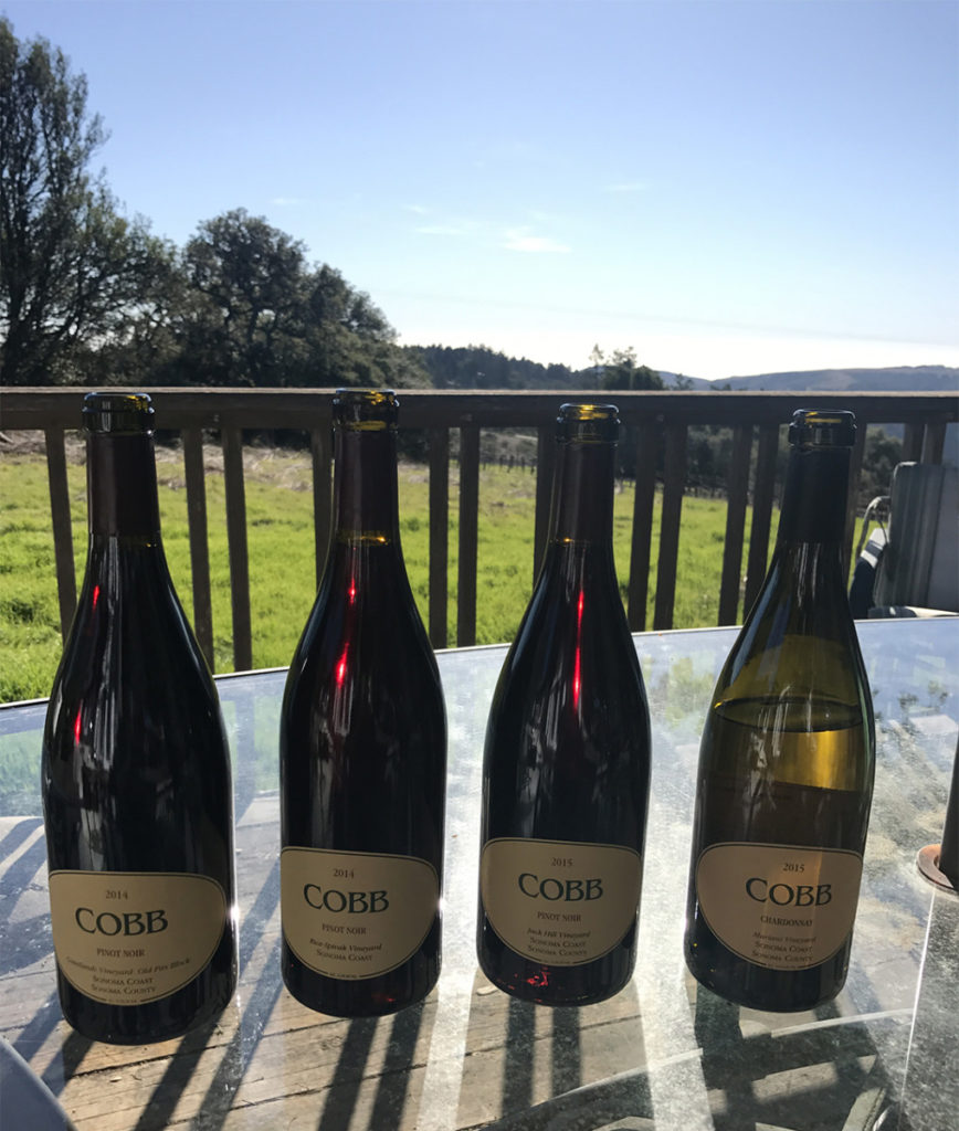 The Best California Sonoma Coast Wineries