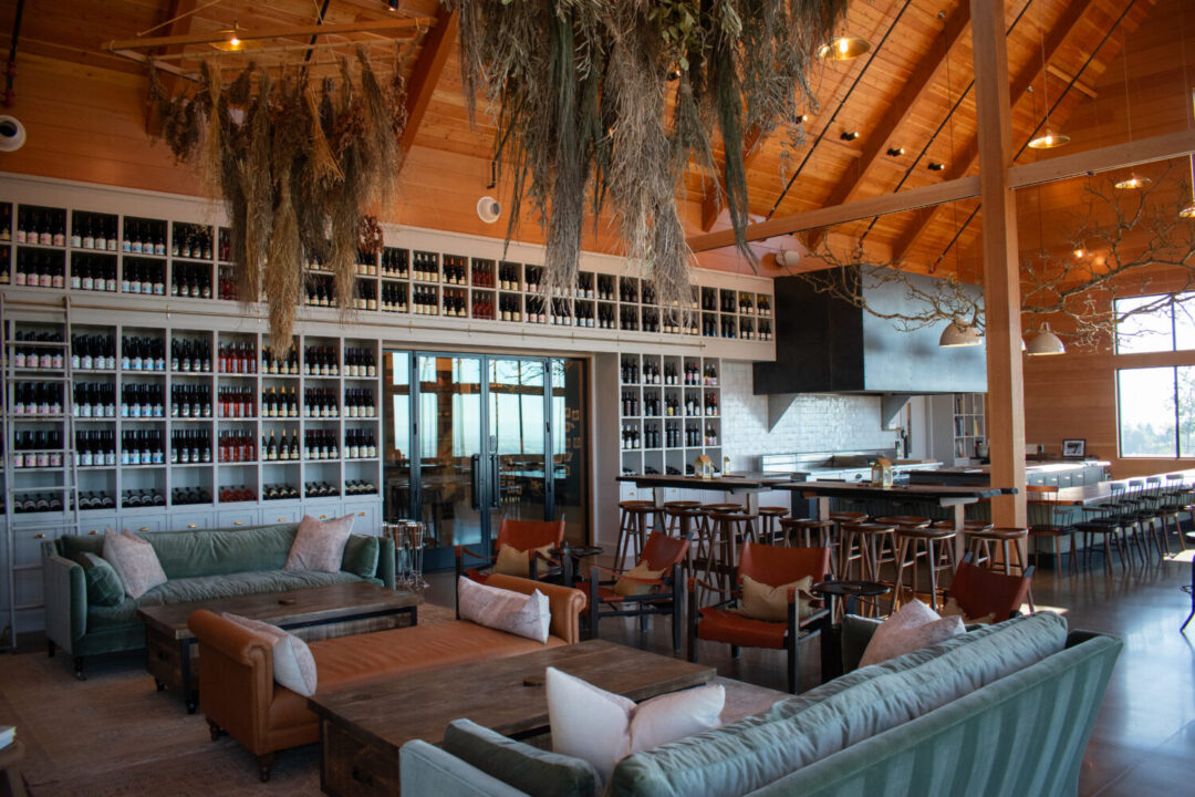 Dundee Hills Winery Guide