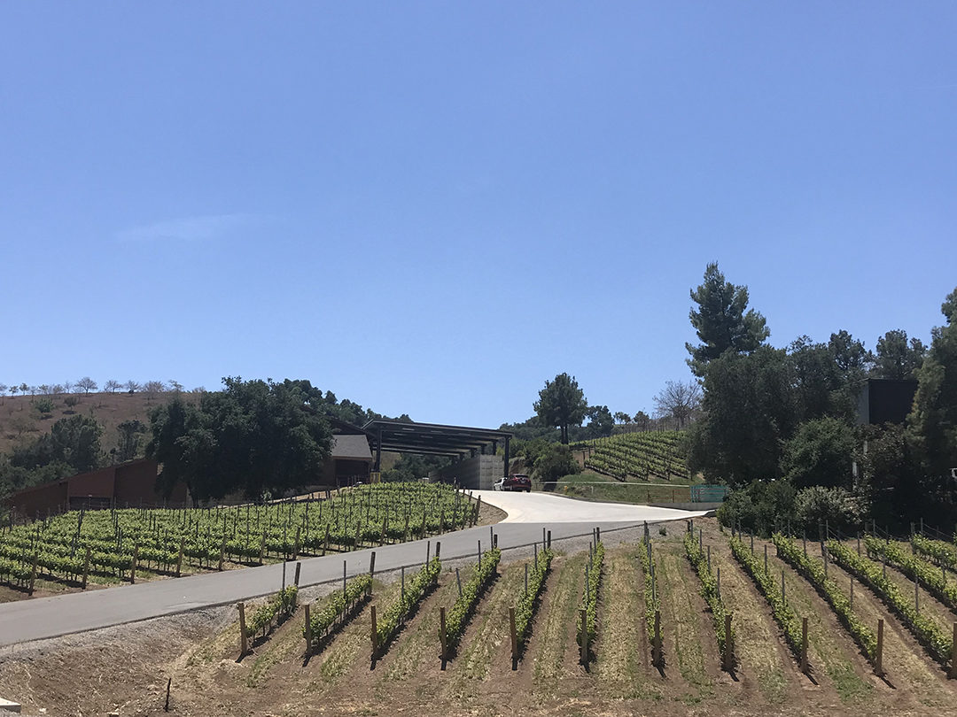Dauo Winery Paso Robles