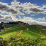 Dauo Winery A Paso Robles Gem You Must Experience