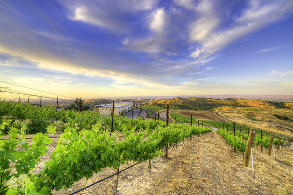 Daou Winery Creating Some Of The Most Beautiful Paso Robles Wines