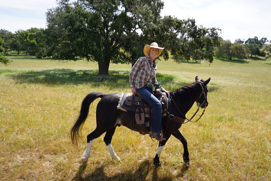 Fess Parker KAP Land & Cattle Horseback Ride