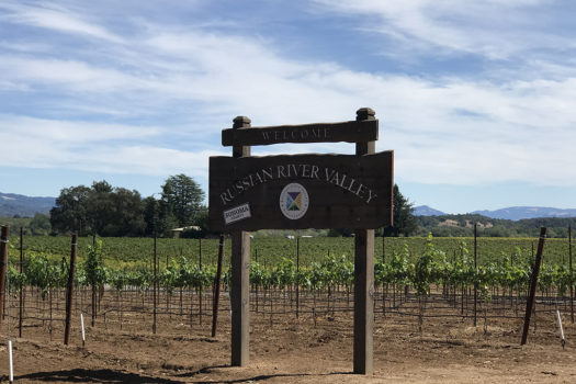 The Russian River Valley California’s Top 10 Wineries