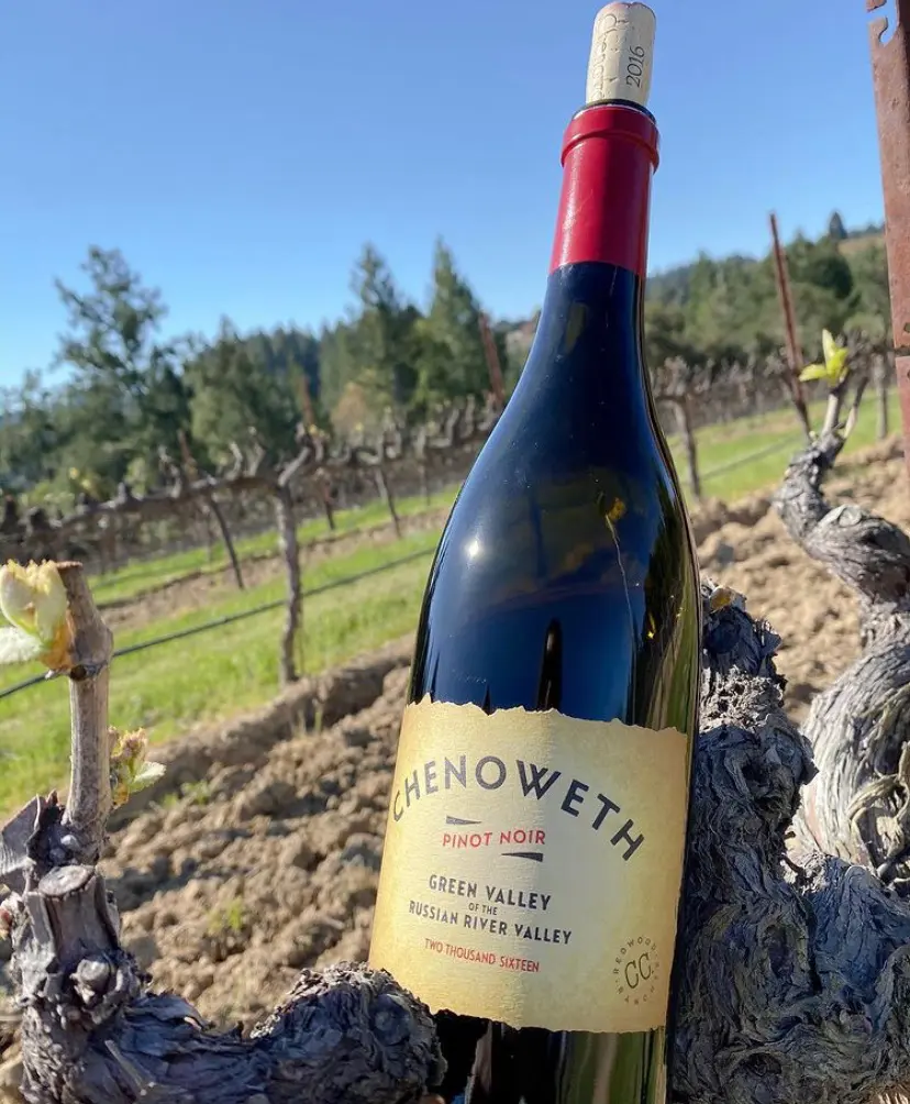 Sonoma Hidden Gem Wineries